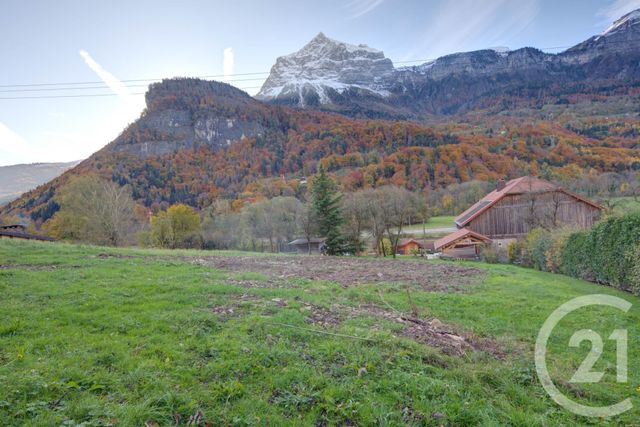 terrain à vendre - 1549.0 m2 - MAGLAND - 74 - RHONE-ALPES - Century 21 Patrick Avenel